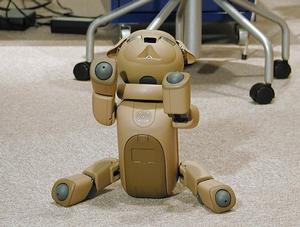 ASCII.jp：ソニー、“AIBO EXPO 2002”でAIBOの最新機種を披露――AIBO用