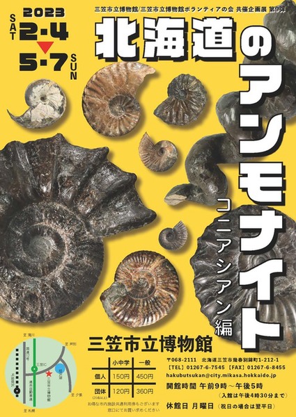 北海道で見つかったアンモナイト化石の企画展！ 「北海道の
