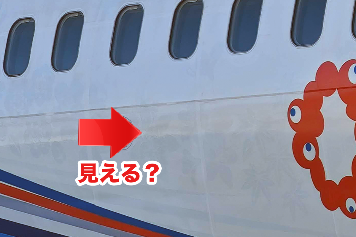 ボディの下に隠れていたのは…ANA新デザイン機の正体がついに判明【初