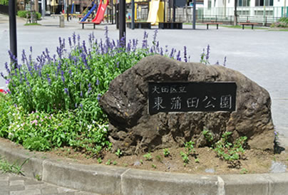 ASA田園調布の【小さな散歩道】