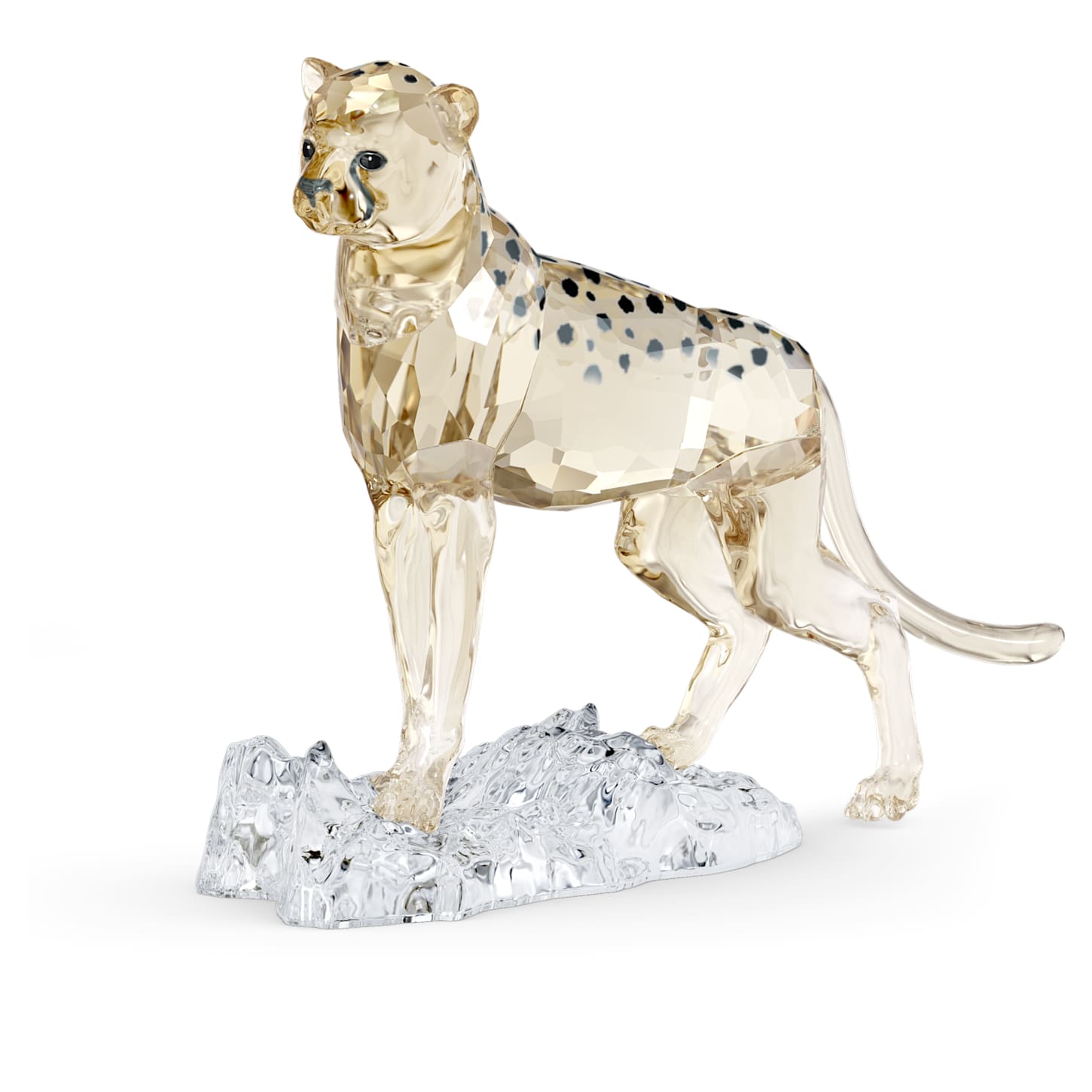 elegance-of-africa-scs-cheetah