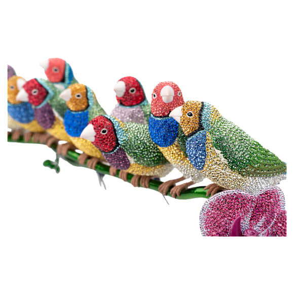 Crystal Myriad コキンチョウ | Swarovski