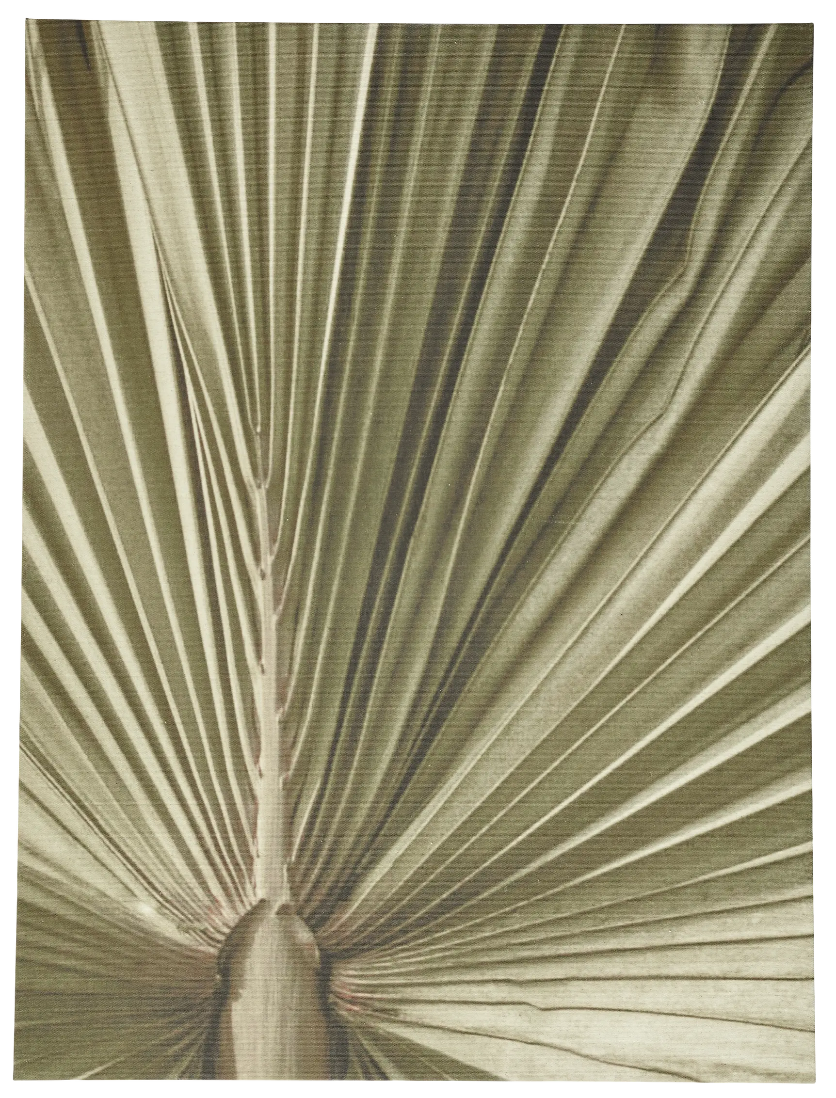 Palm leaf ギャラリー | Gallery | Palm leaf | | ボーコンセプト