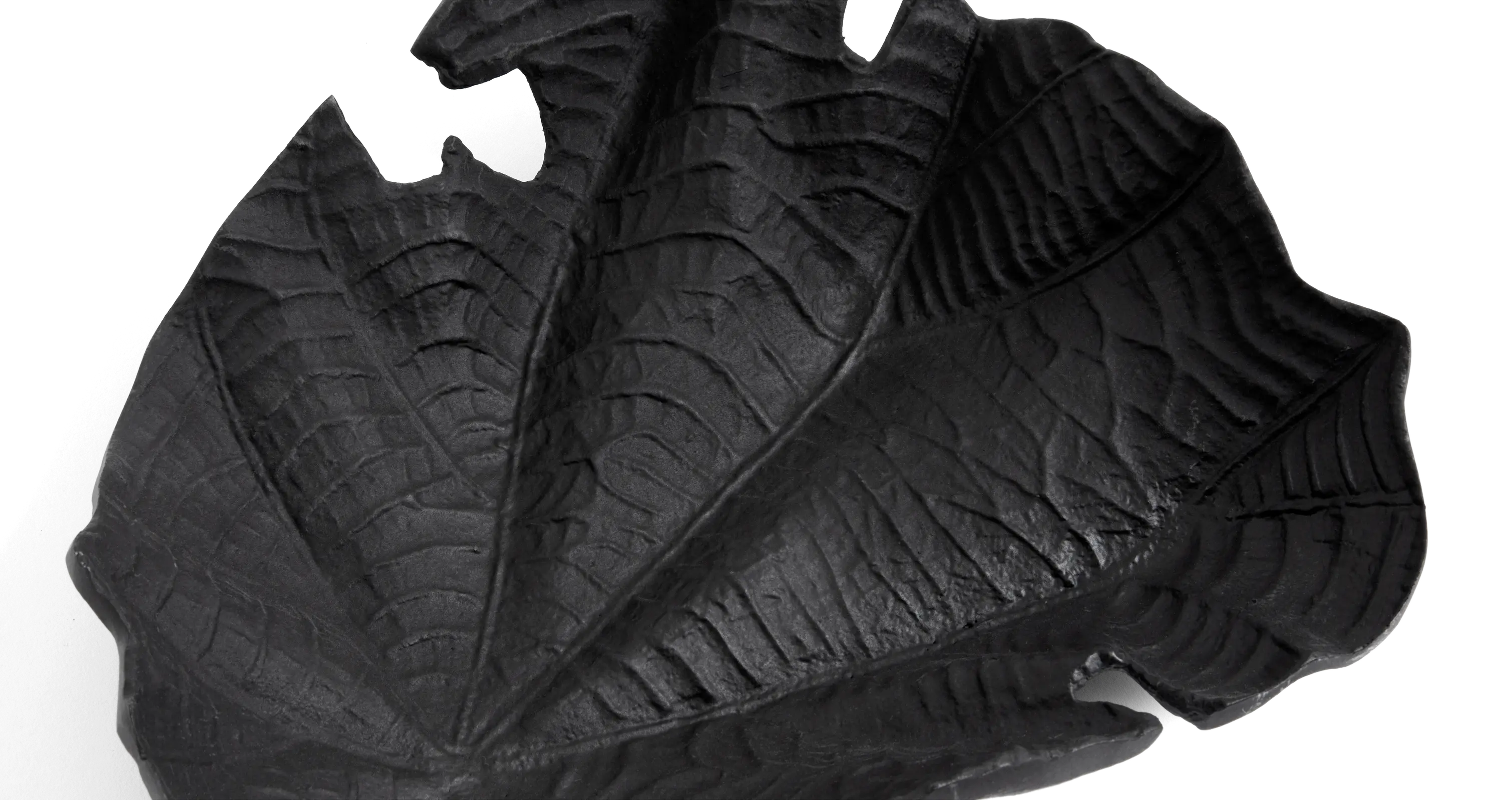 Velvet leafスカルプチャー | Sculpture | Velvet Leaf | | ボーコンセプト