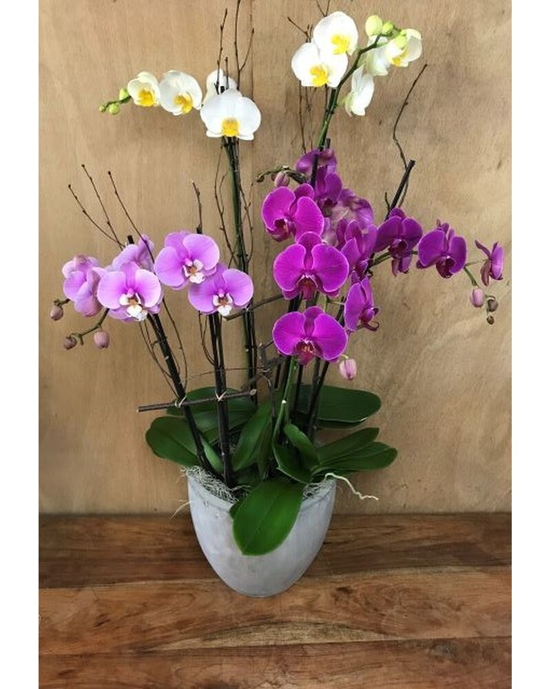 sku9180919.jpg