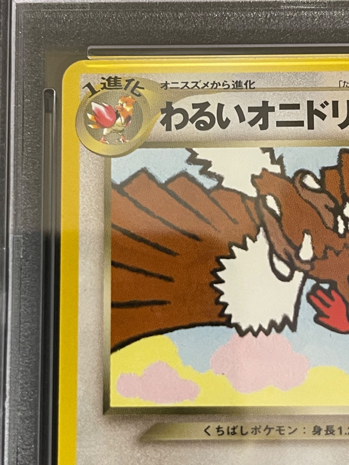 ポケモンカード ポケモンカード 旧裏 わるいオニドリル プロモ わるい