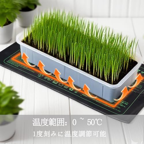 園芸 保温用 ヒーターセット パネルヒーター コントローラー 塊根植物