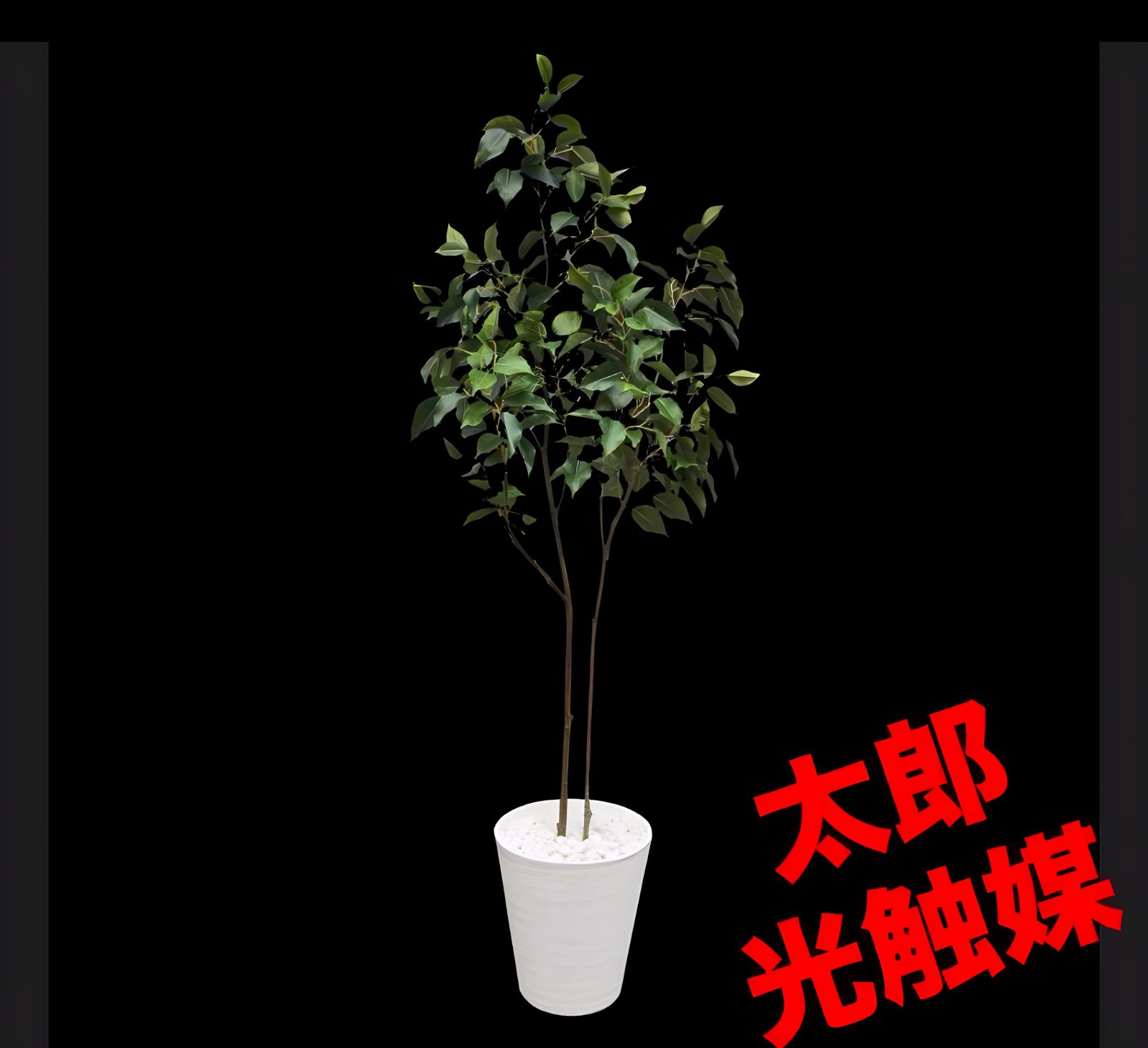 光触媒 人工観葉植物 ウォールグリーン フェイクグリーン ベンジャミン
