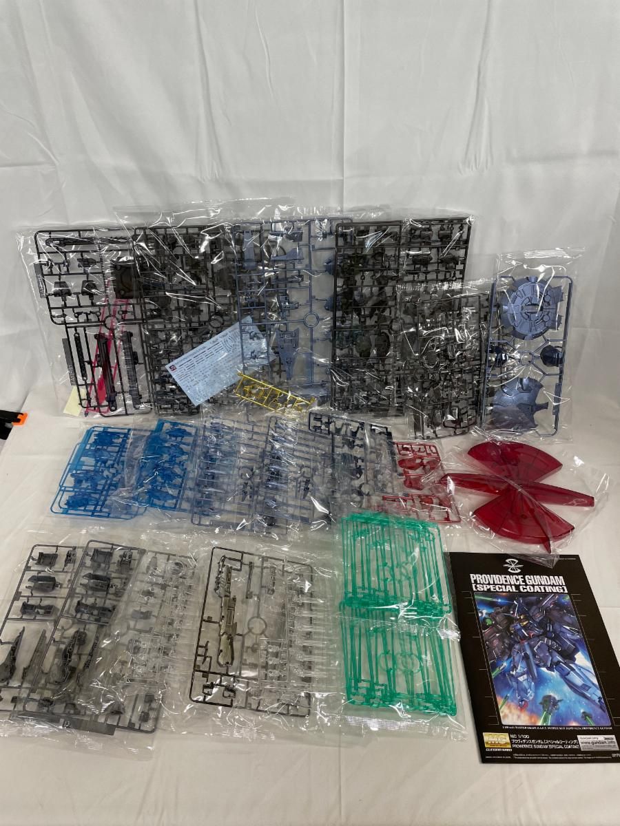 未開封】1/100 MG ZGMF-X13A プロヴィデンスガンダム [スペシャル