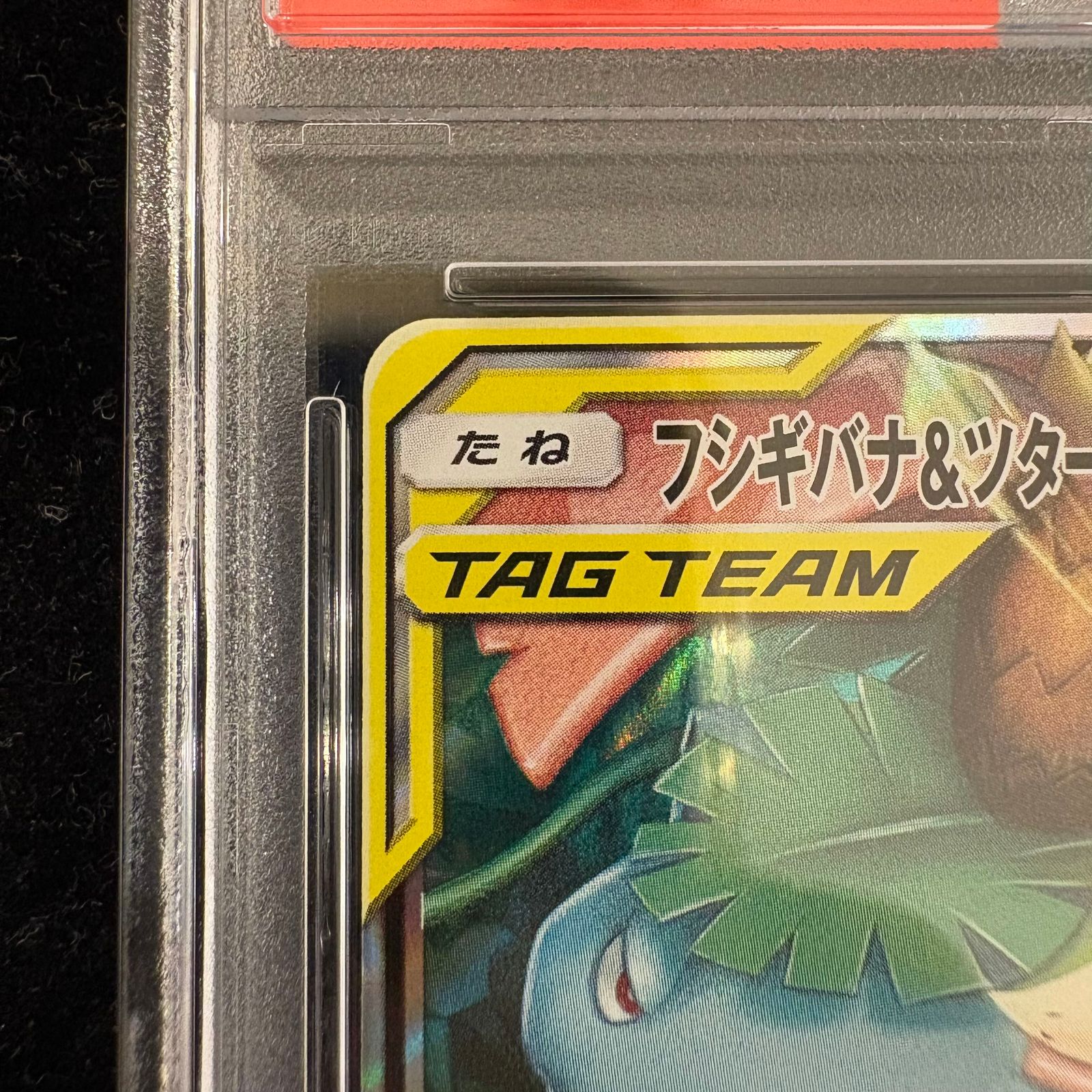 PSA10】 フシギバナ&ツタージャGX (RR) {001/064} 1枚 - メルカリ