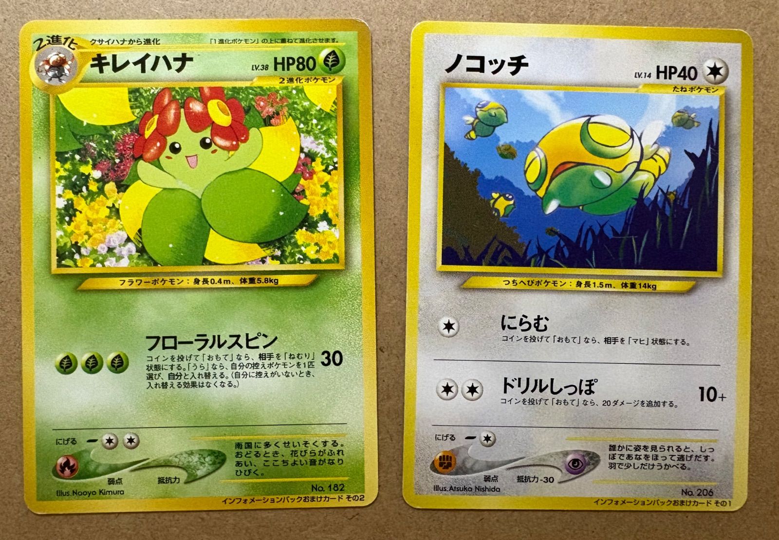 インフォメーションパックその1ノコッチ＆その2キレイハナ ポケモン