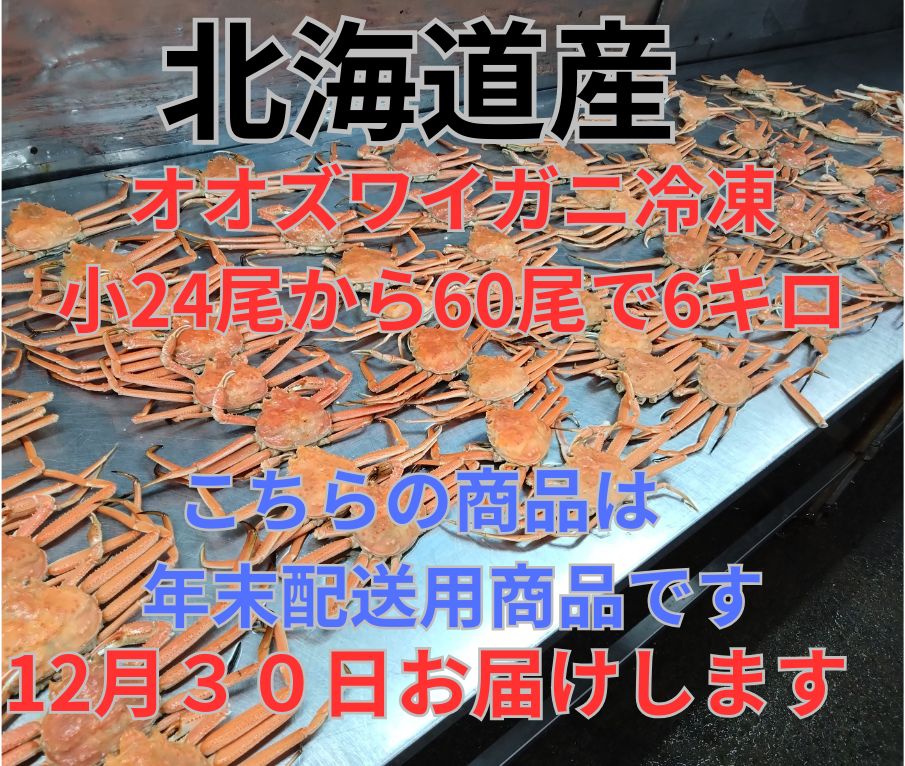 ウルザの物語 ボーダーレスfoil B 売れ筋