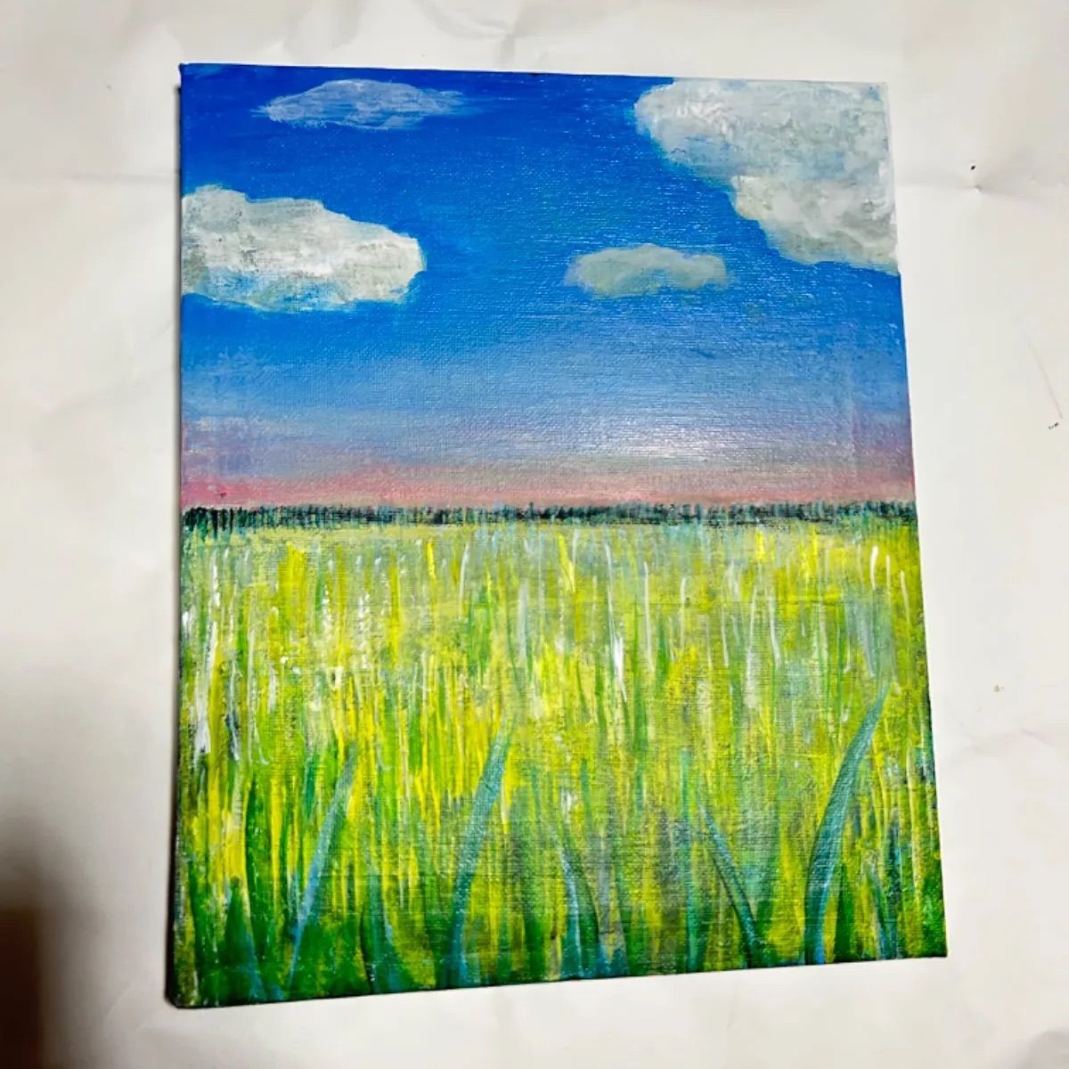空と草原】風景画 アクリル絵の具 雲 青空 F3サイズ - メルカリ
