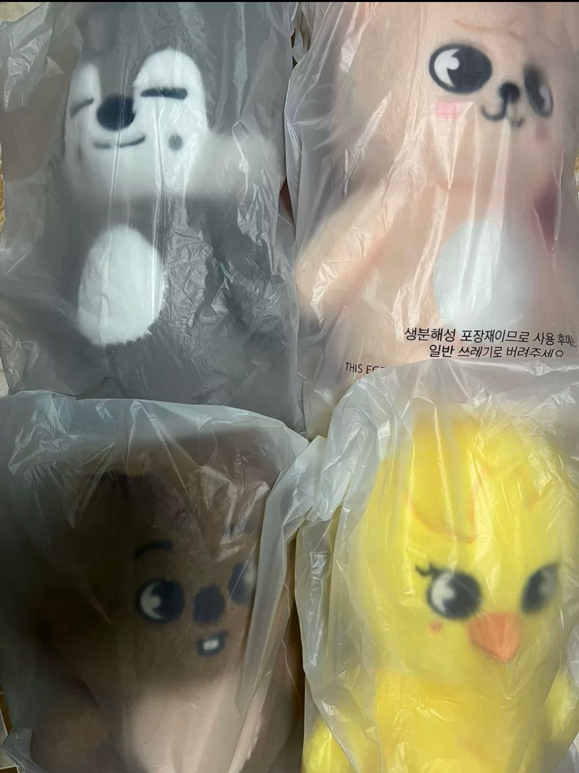 SKZOO PLUSH テディベア リービット StrayKids - メルカリ