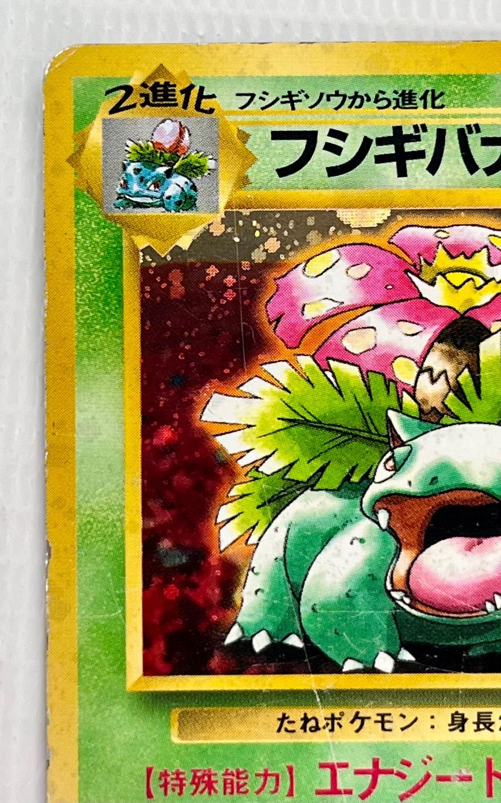 ○ ポケモンカード 旧裏 ☆ キラカード フシギバナ Lv.67HP100 No.003