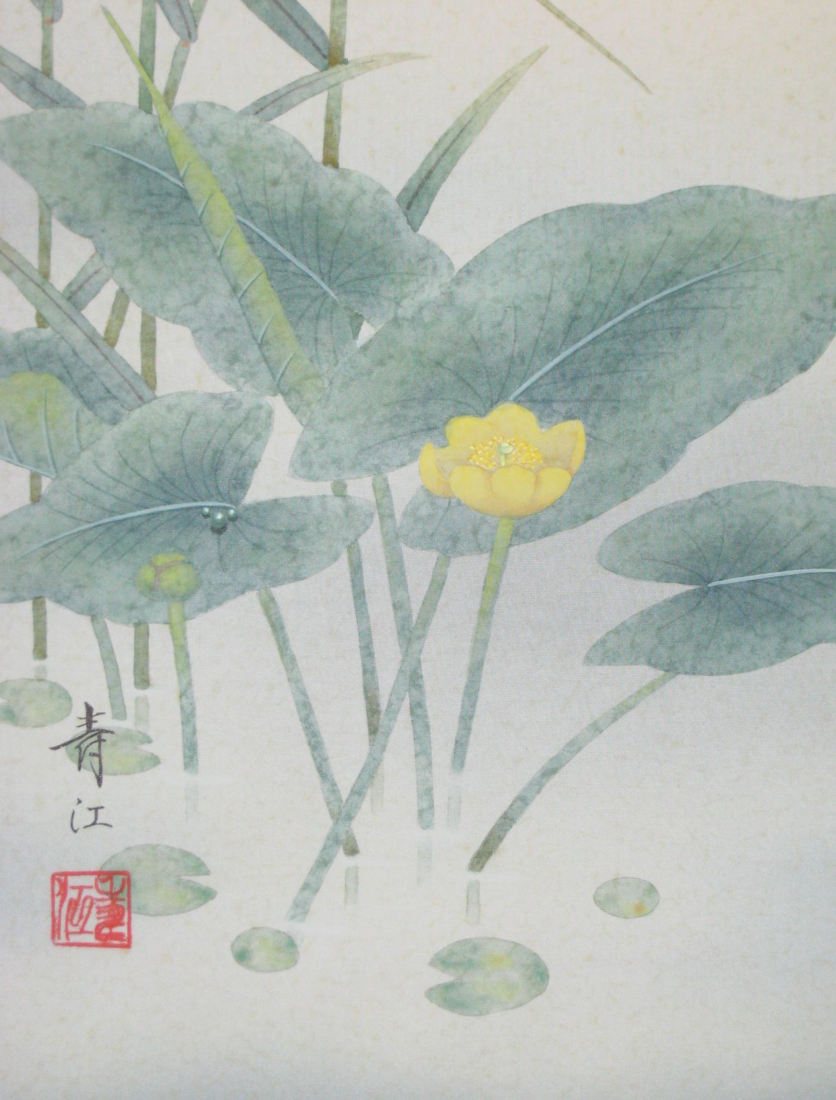 真筆】掛け軸 掛軸 翡翠(かわせみ)◇柳沢寿江 太巻仕様・共箱・タトウ