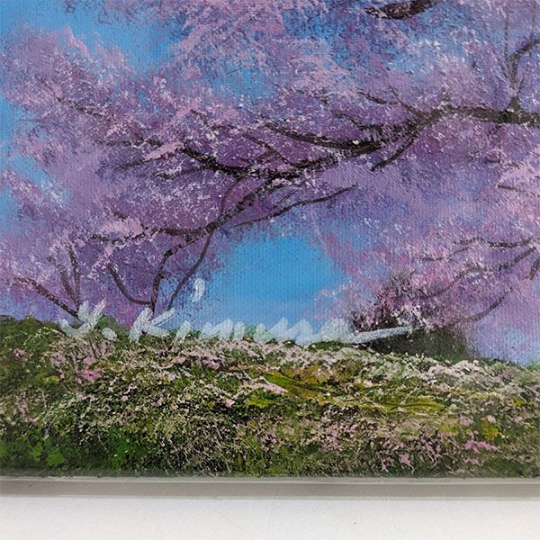 41㎝角「朝の桜」油彩・原画・S6 41㎝角「朝の桜」油彩・原画・S6 41