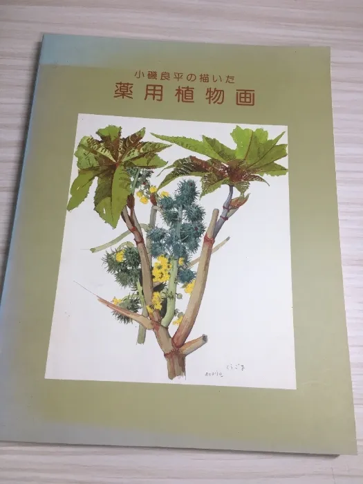 小磯良平、すいかずら、高級薬用植物画、版上サイン入、新品額付 小磯