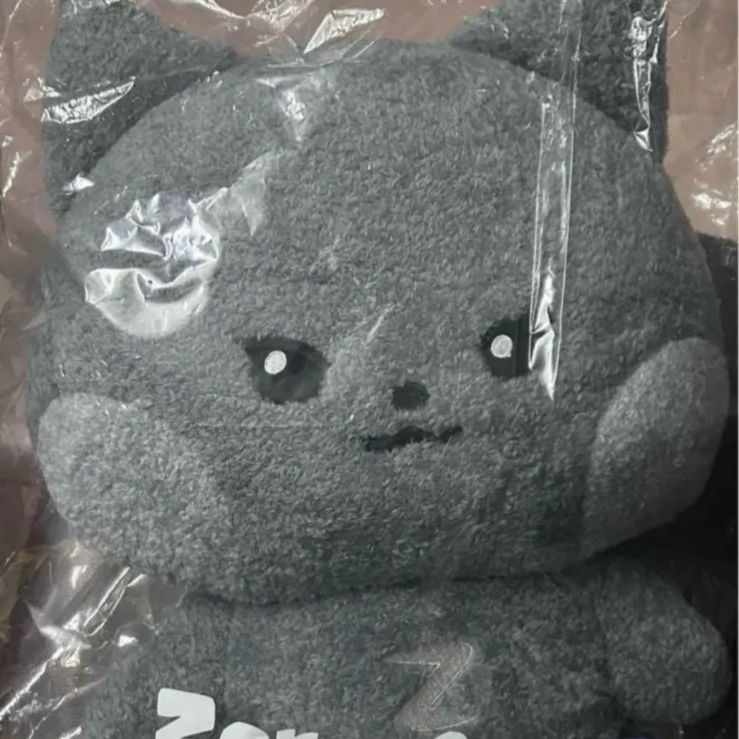 ZB1 zeroni フラットぬいぐるみ ウンニニ ジウン ラインフレンズ