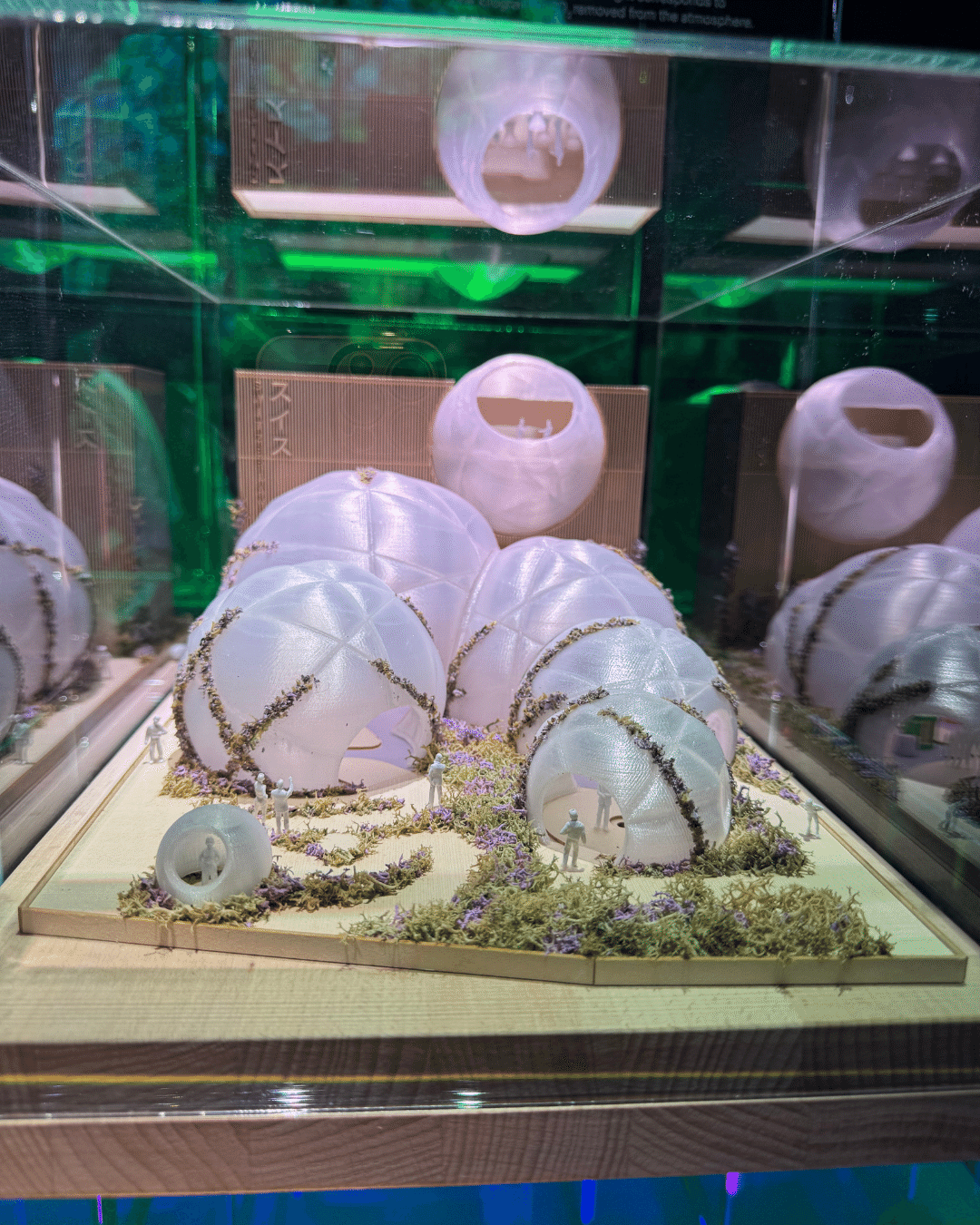 EXPO 2025 大阪・関西万博」採用ワイン｜AlcotradeTrust