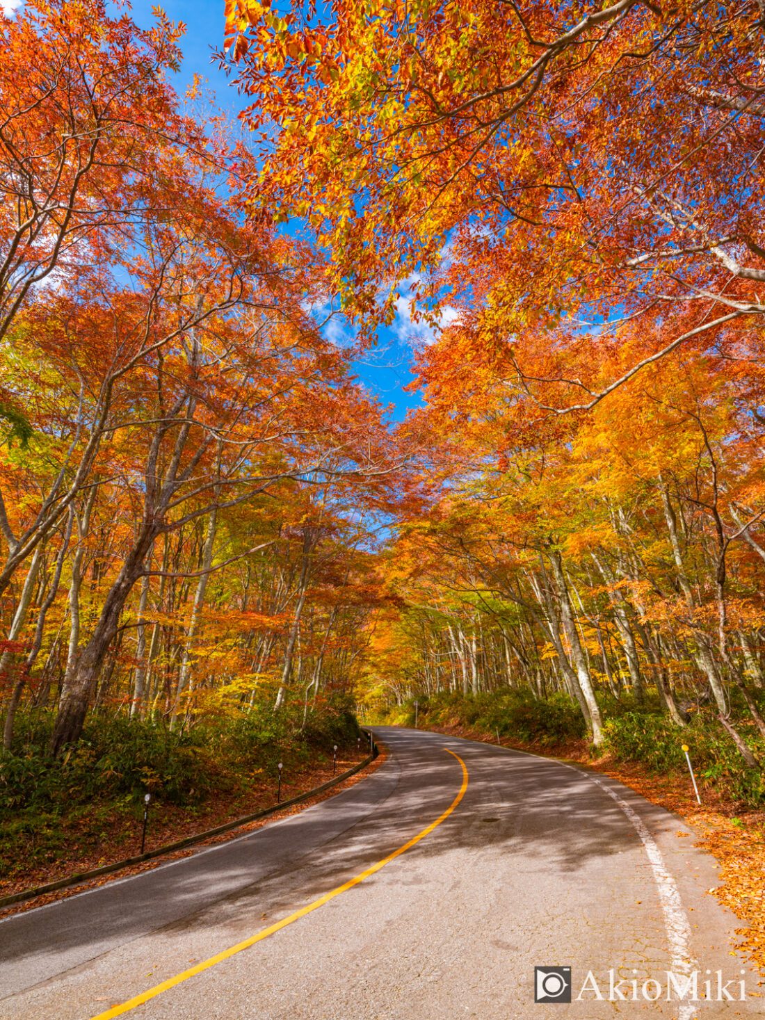 鳥取県】紅葉が美しい秋の大山の写真を紹介！ | Akio Miki