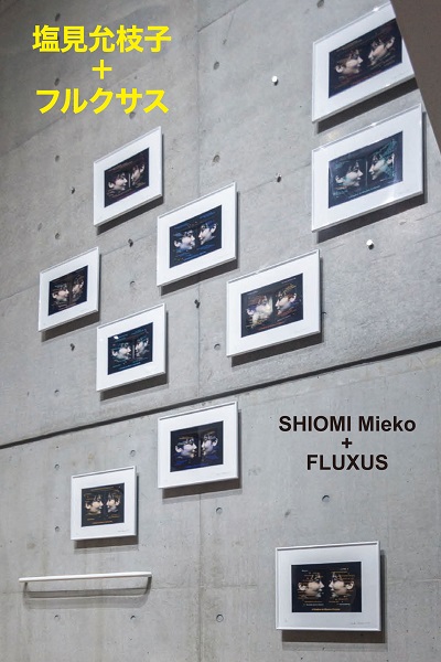 shiomi_catalog.jpg