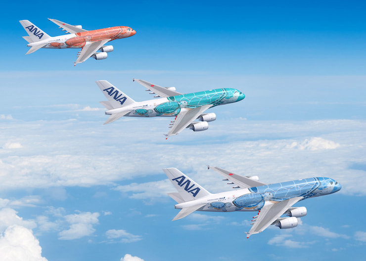 ハワイ子連れ旅行やハネムーンにANA「FLYING HONU（フライングホヌ