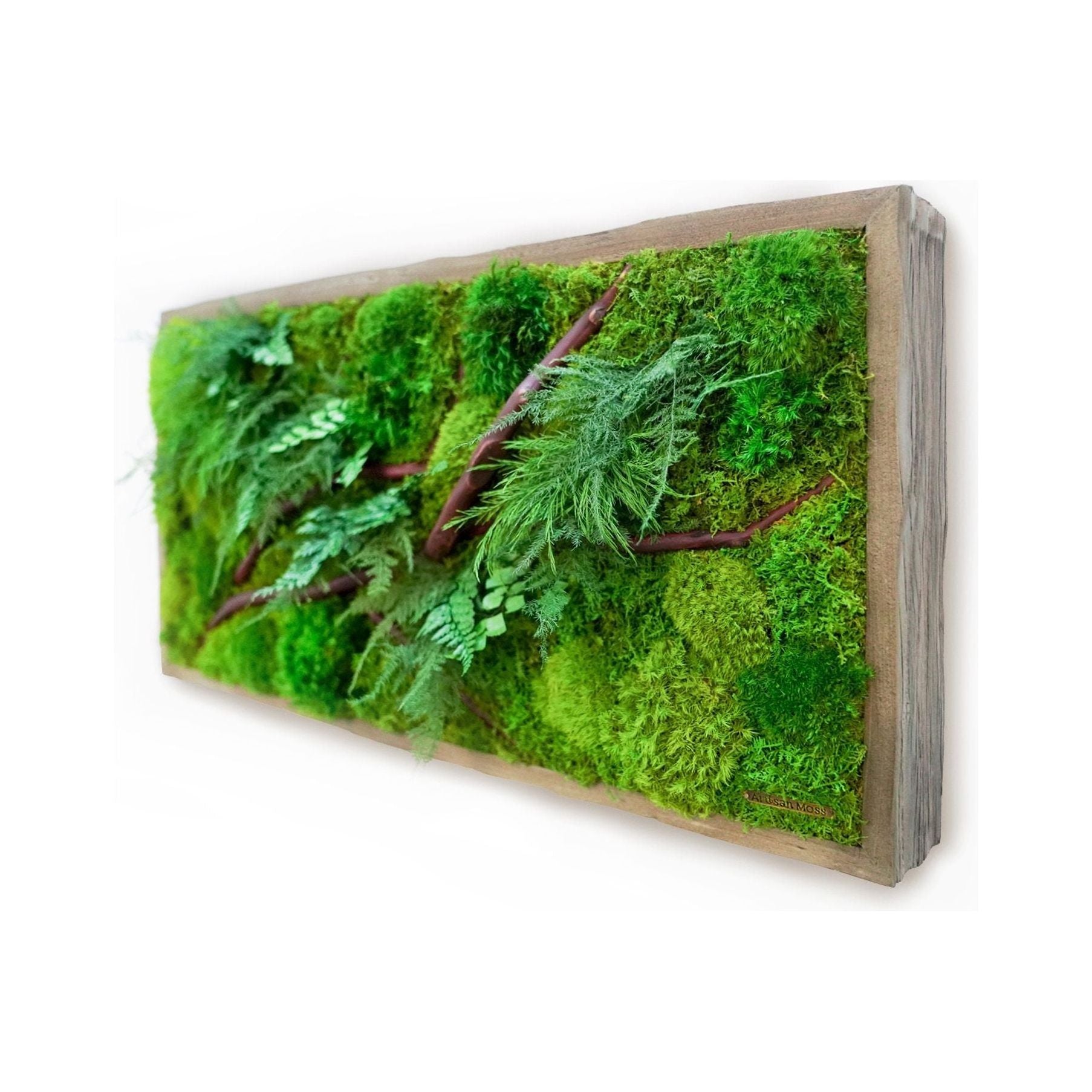 Moss Art with Red Branches 12