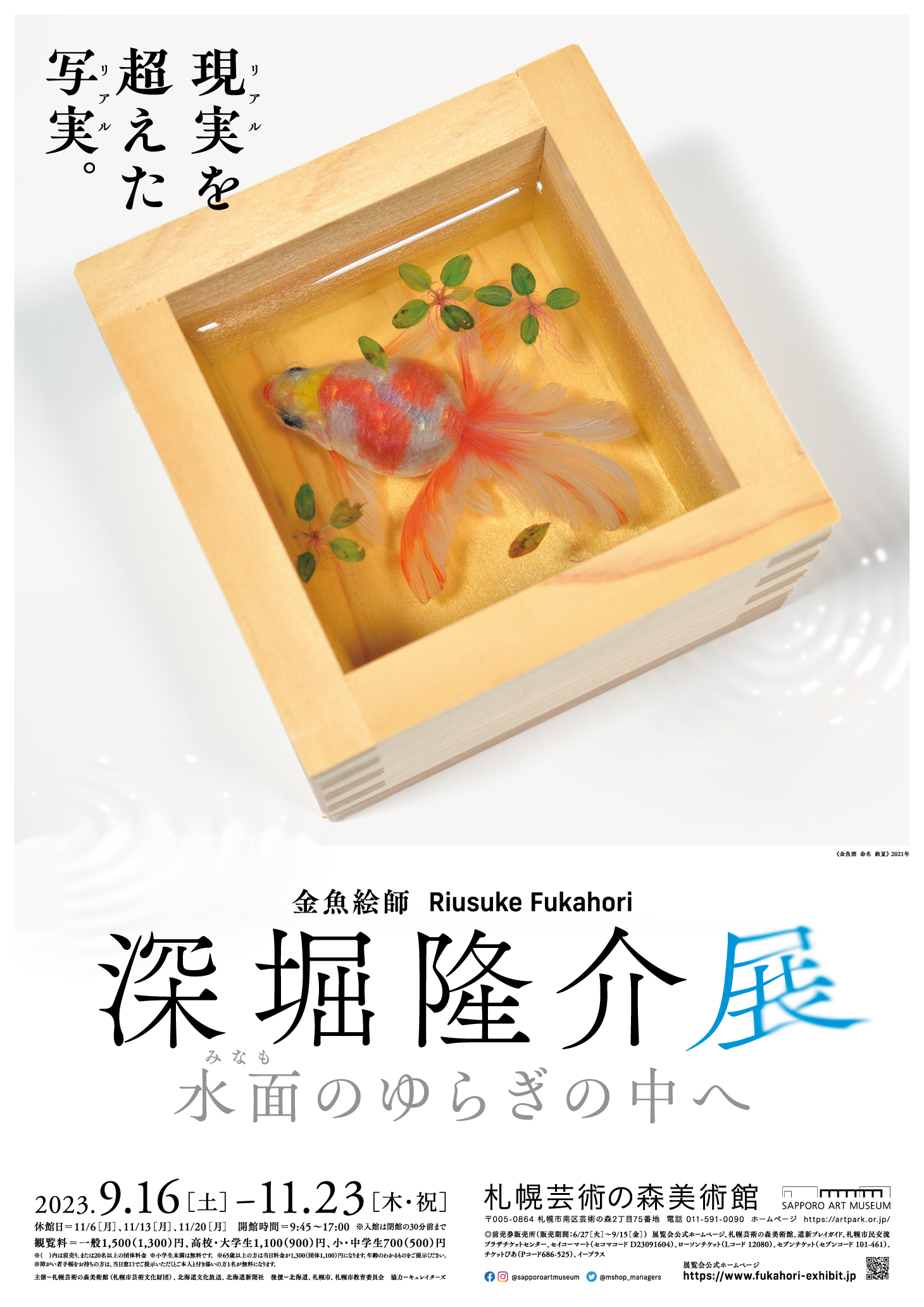 海の画廊「白 稜」 海の画廊「白 稜」 海の画廊「白 稜」 ZOIDS/白上
