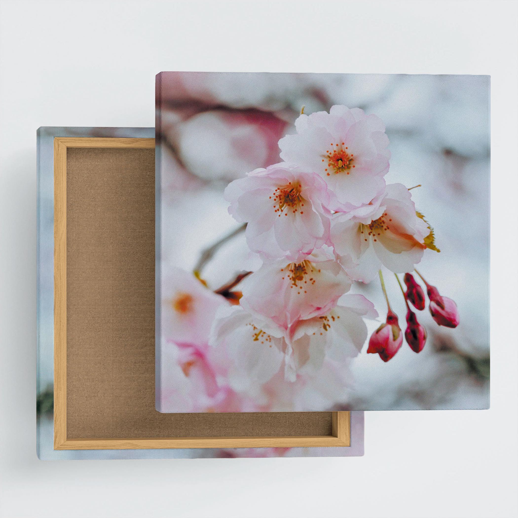 花のアートパネル インテリア雑貨 アートパネル キャンバス ピンク 桜