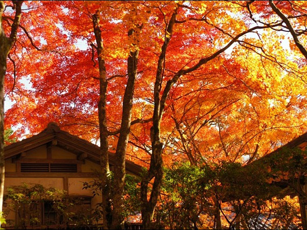 長安寺|スポット | 熱海別荘LIFE