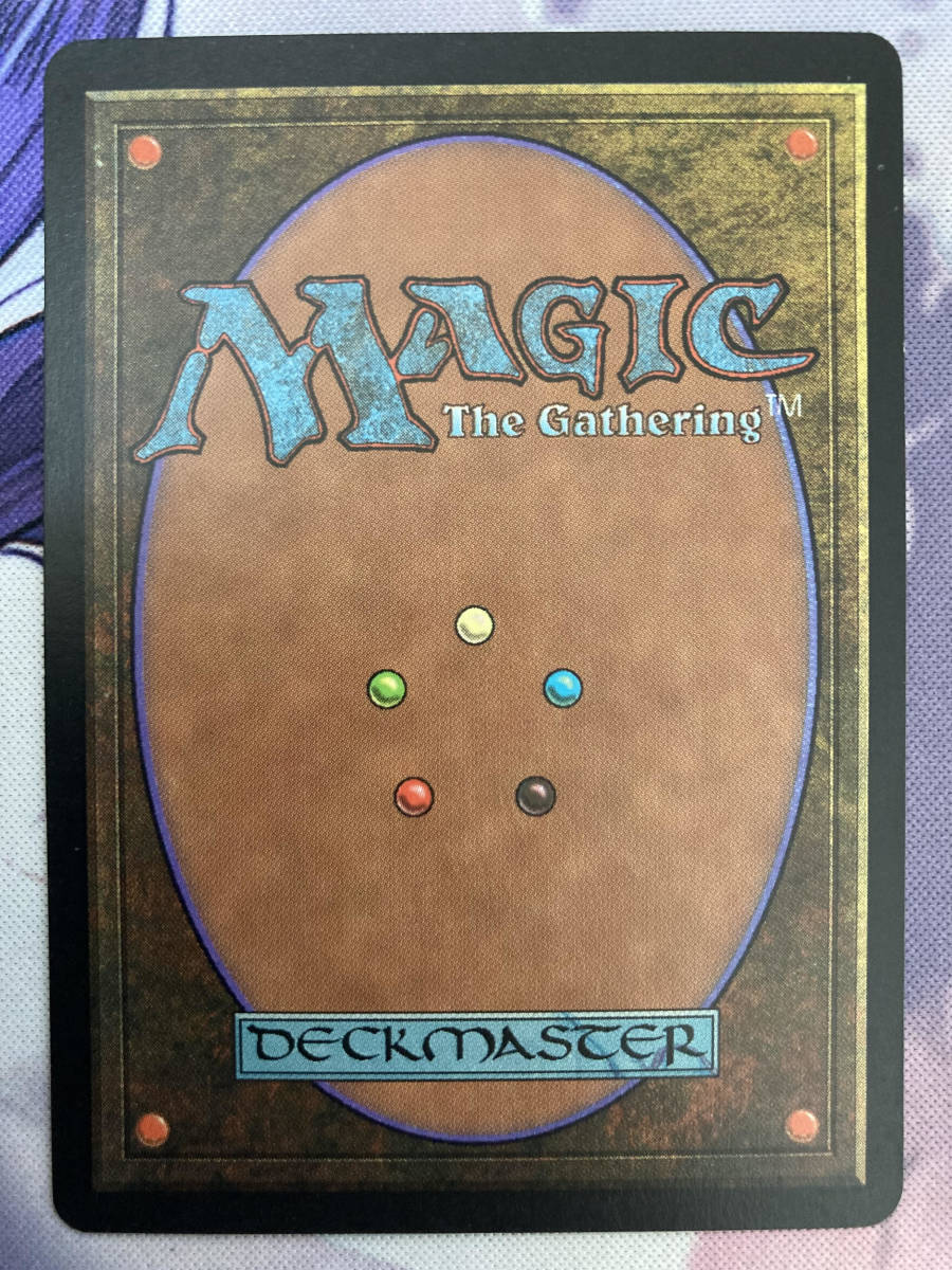 MTG 《適者生存/Survival of the Fittest》 EXO 日本語