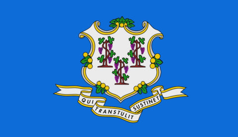 CT flag DIGS 