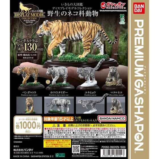 polar bear bank(ポーラーベアバンク) ならぶんです。｜ガシャポン
