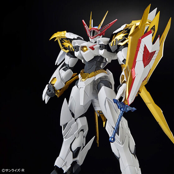 HG Amplified IMGN 龍王丸│株式会社BANDAI SPIRITS（バンダイスピリッツ）