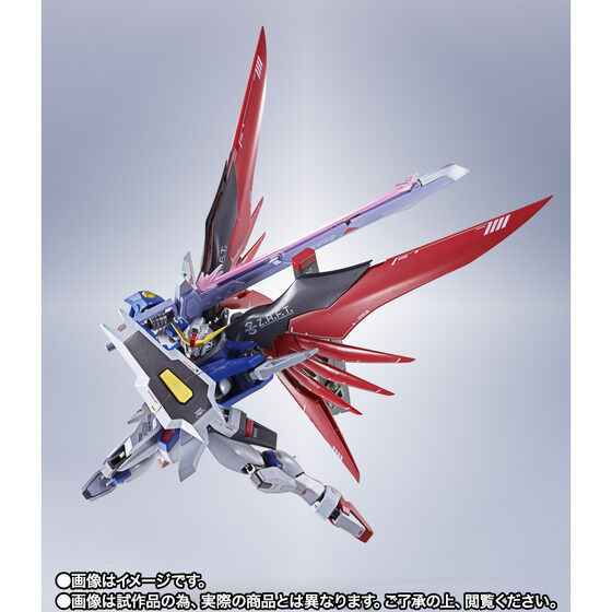METAL ROBOT魂 ＜SIDE MS＞ デスティニーガンダム ［Re:Coordinate