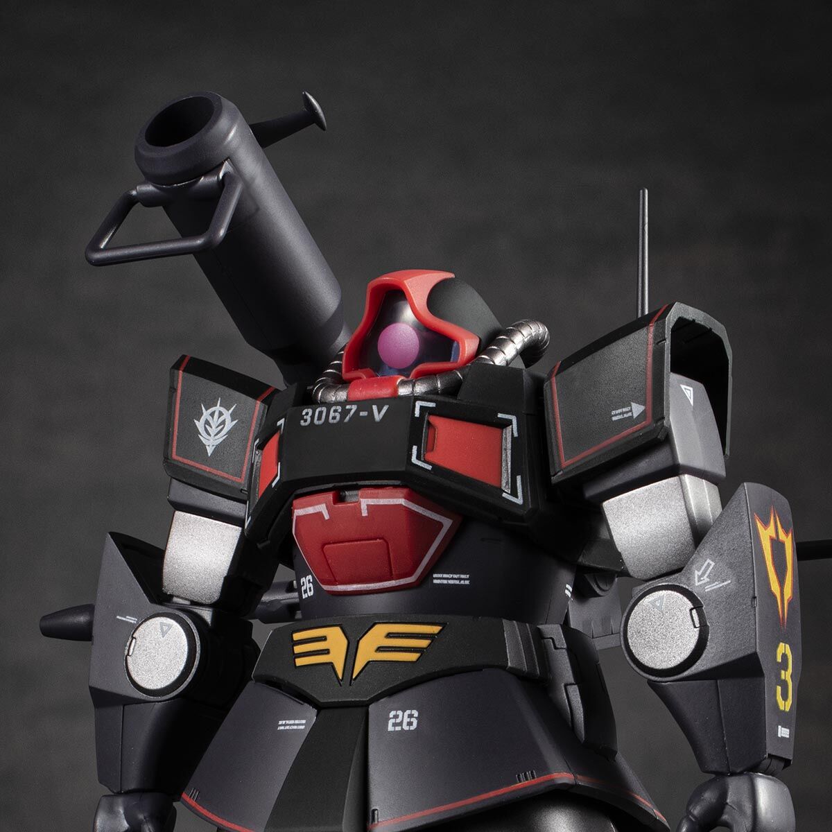 ROBOT魂 ＜SIDE MS＞ YMS-09 プロトタイプ・ドム ver. A.N.I.M.E. ～MS