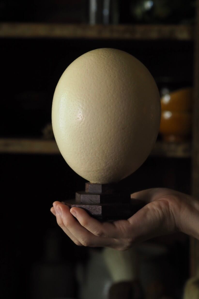 ダチョウの卵オブジェ-vintage ostrich egg | アンティーク
