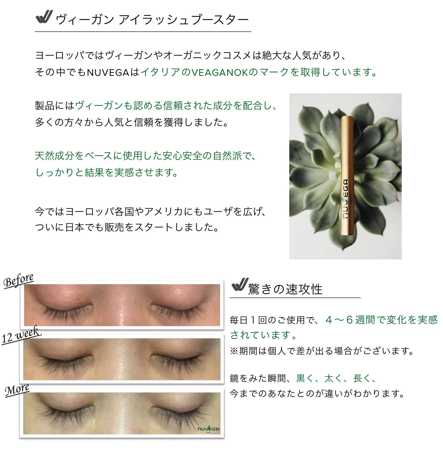新商品】NUVEGA ラッシュRセラム＜まつげ美容液＞ | MIBELL OFFICIAL STORE