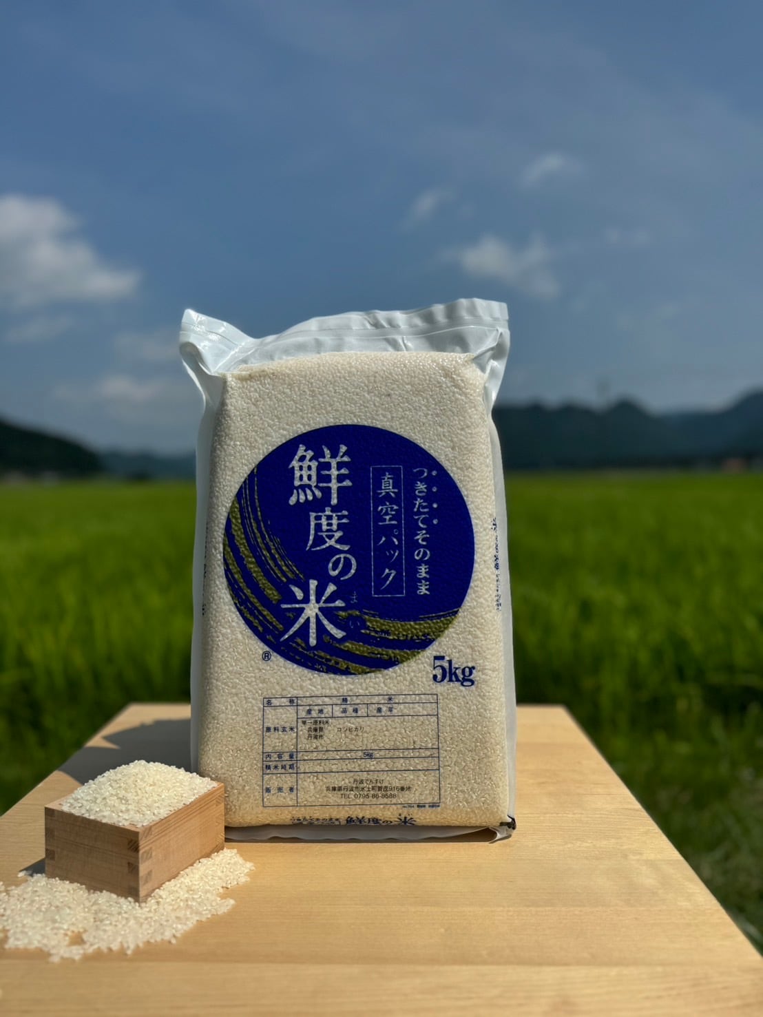 送料無料！R7年産丹波産コシヒカリ 特別栽培米 5kg（真空パック 精米