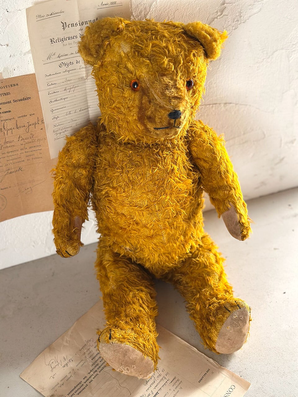 イエローベア 黄金色 クマのぬいぐるみ | Brocante de La Cocotte