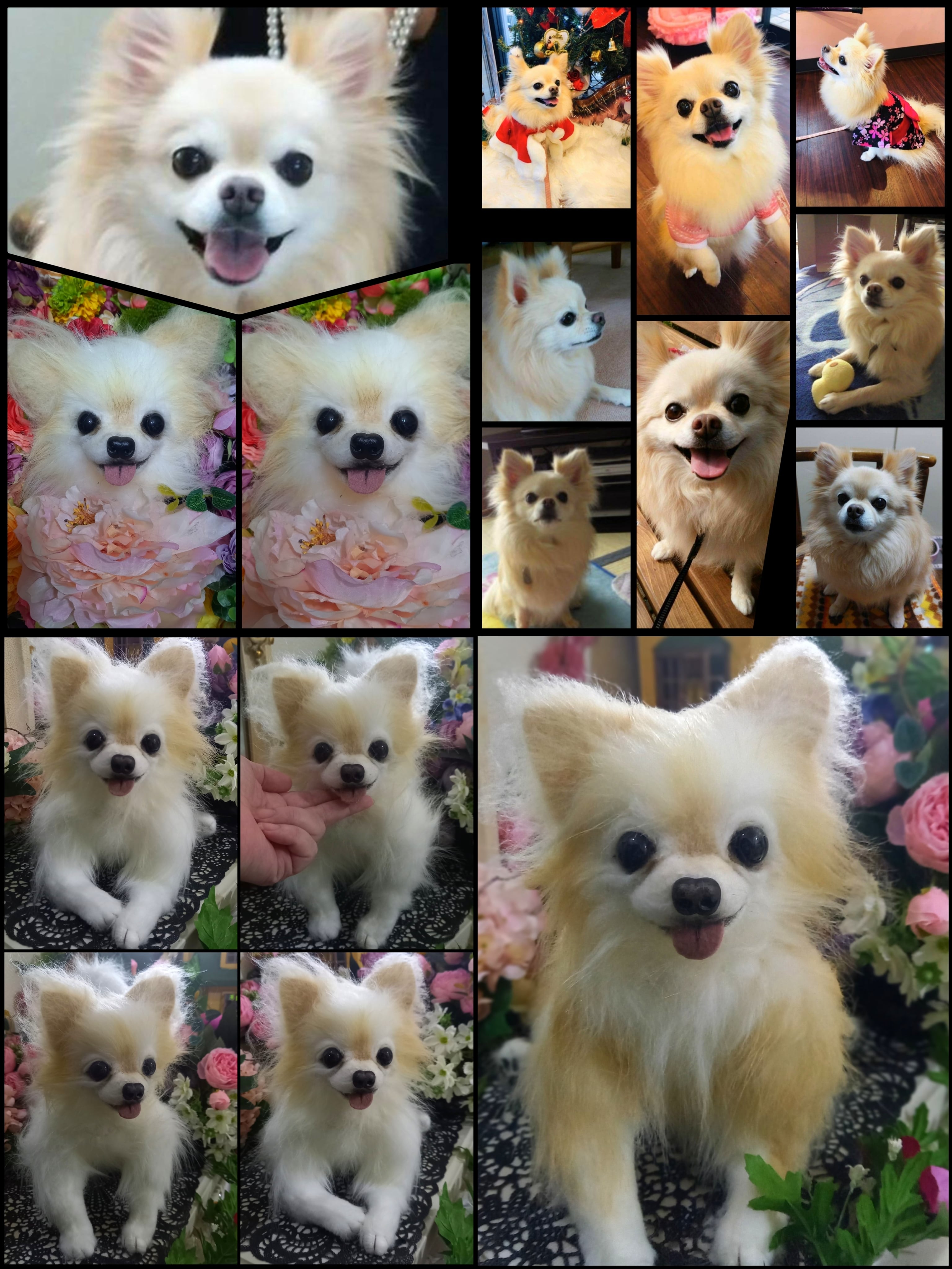 オーダー受付いたします♥️ 実物大 チワワ 愛犬 分身 ぬいぐるみ 羊毛