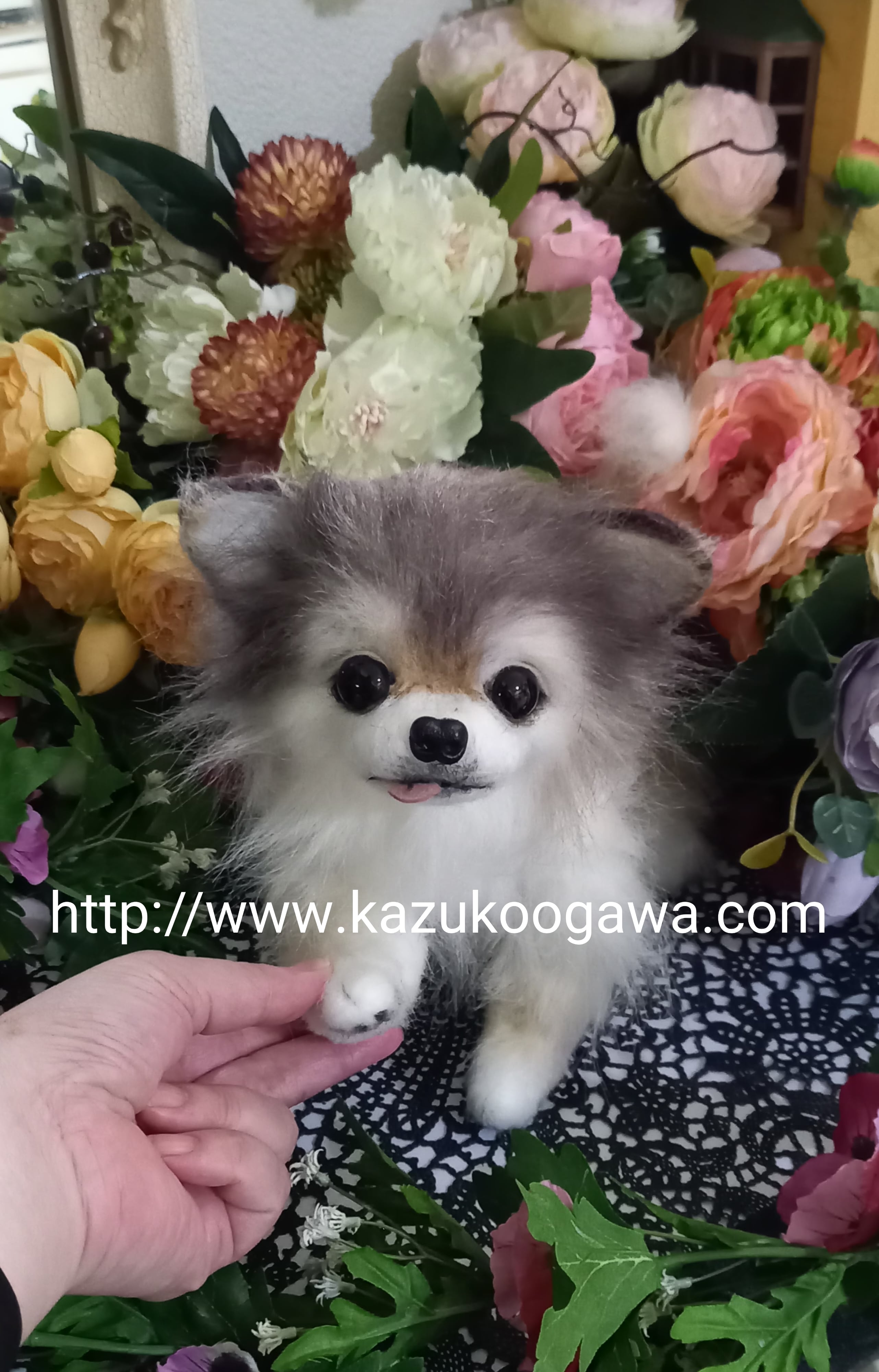 展示写真 チワワ 実物大 リアル ぬいぐるみ 羊毛 カズコオガワ