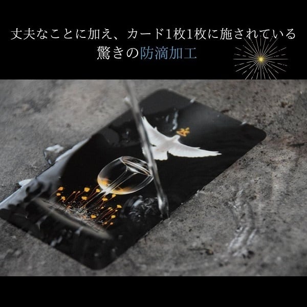 再販開始！】 TRUE BLACK TAROT タロットカード 日本語解説書付き