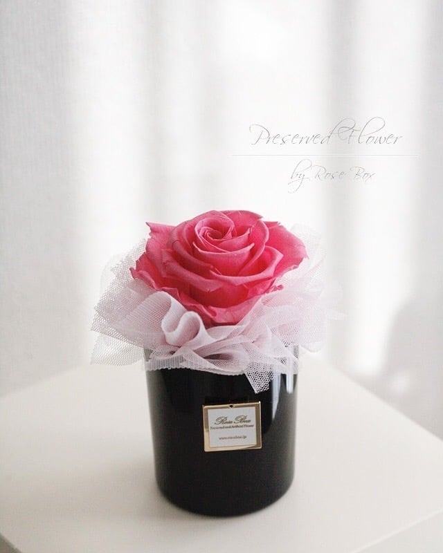 プリザーブドフラワー 1輪アレンジ | Rose Box お花と雑貨のオンライン