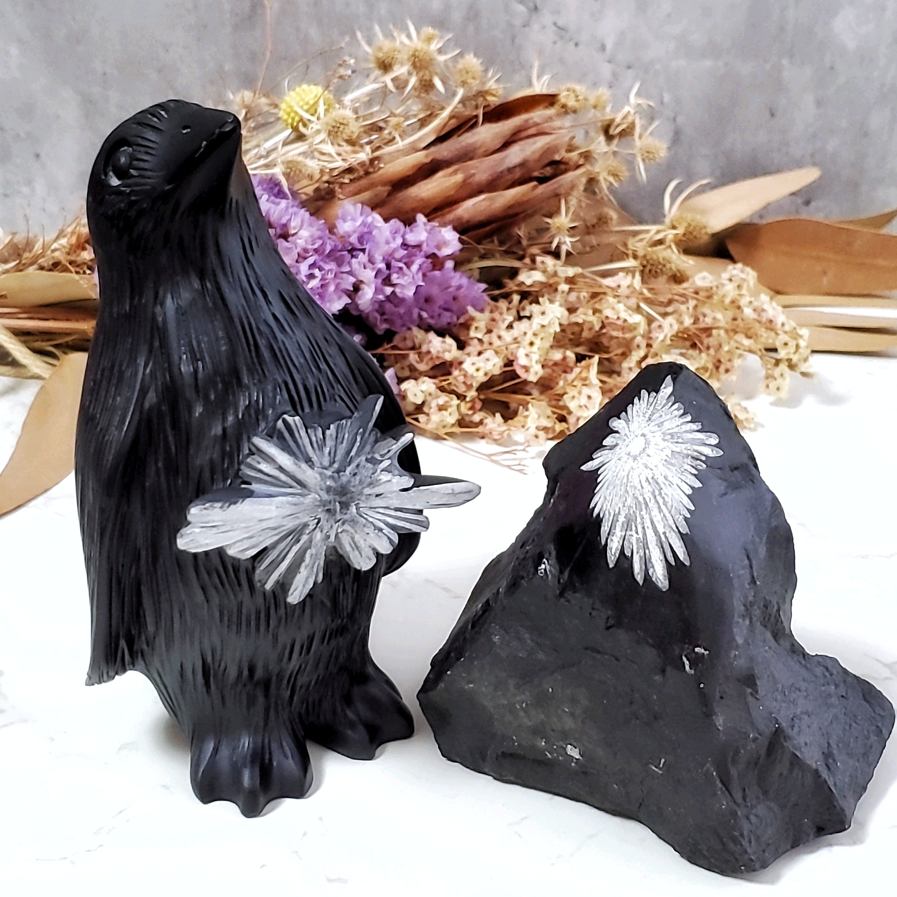 南極セット】 菊花石 ペンギン 原石 湖南省 | ホシノカケラ STONE