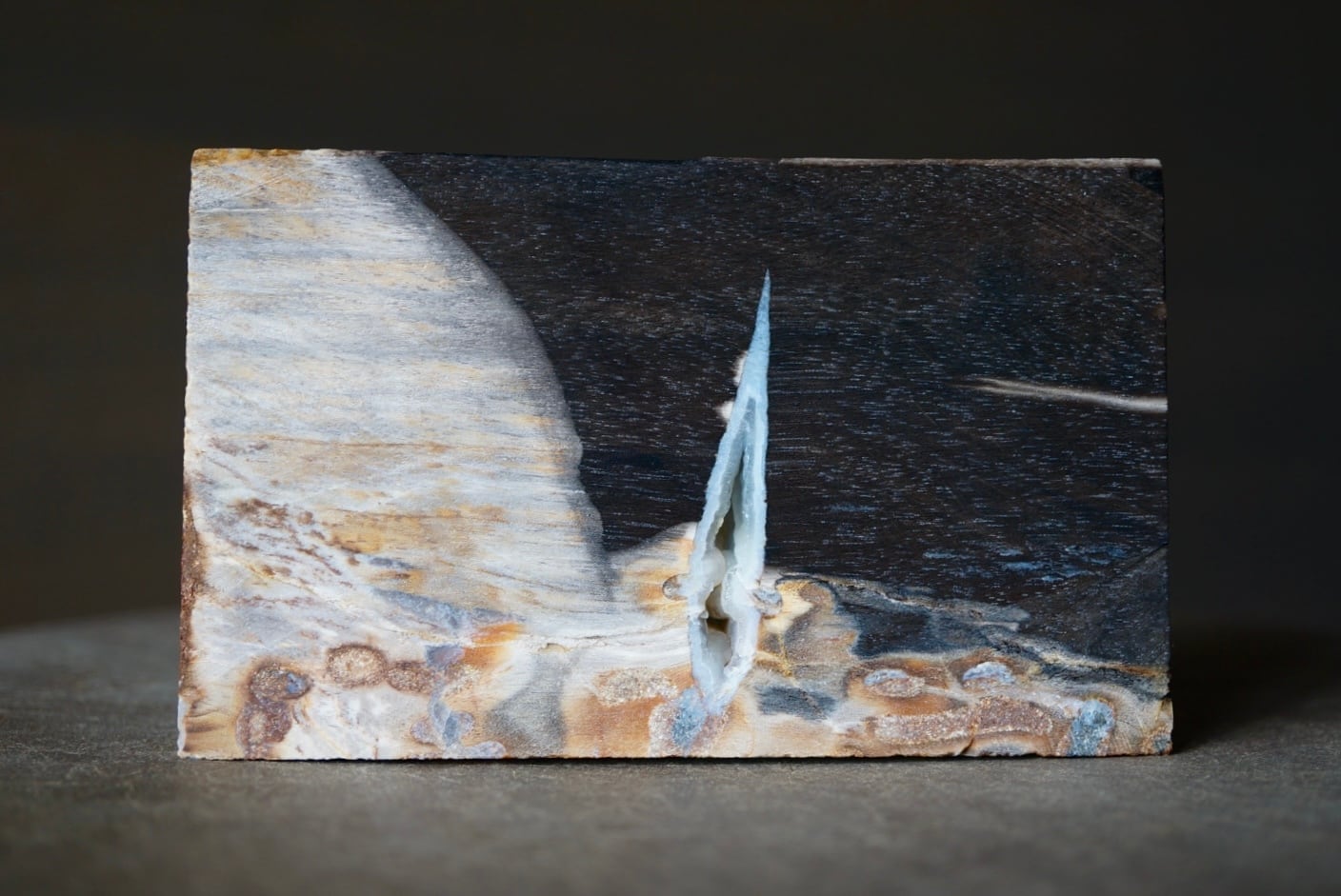インドネシア産ペトリファイドウッド Petrified Wood 1177 | 叙景 jokei