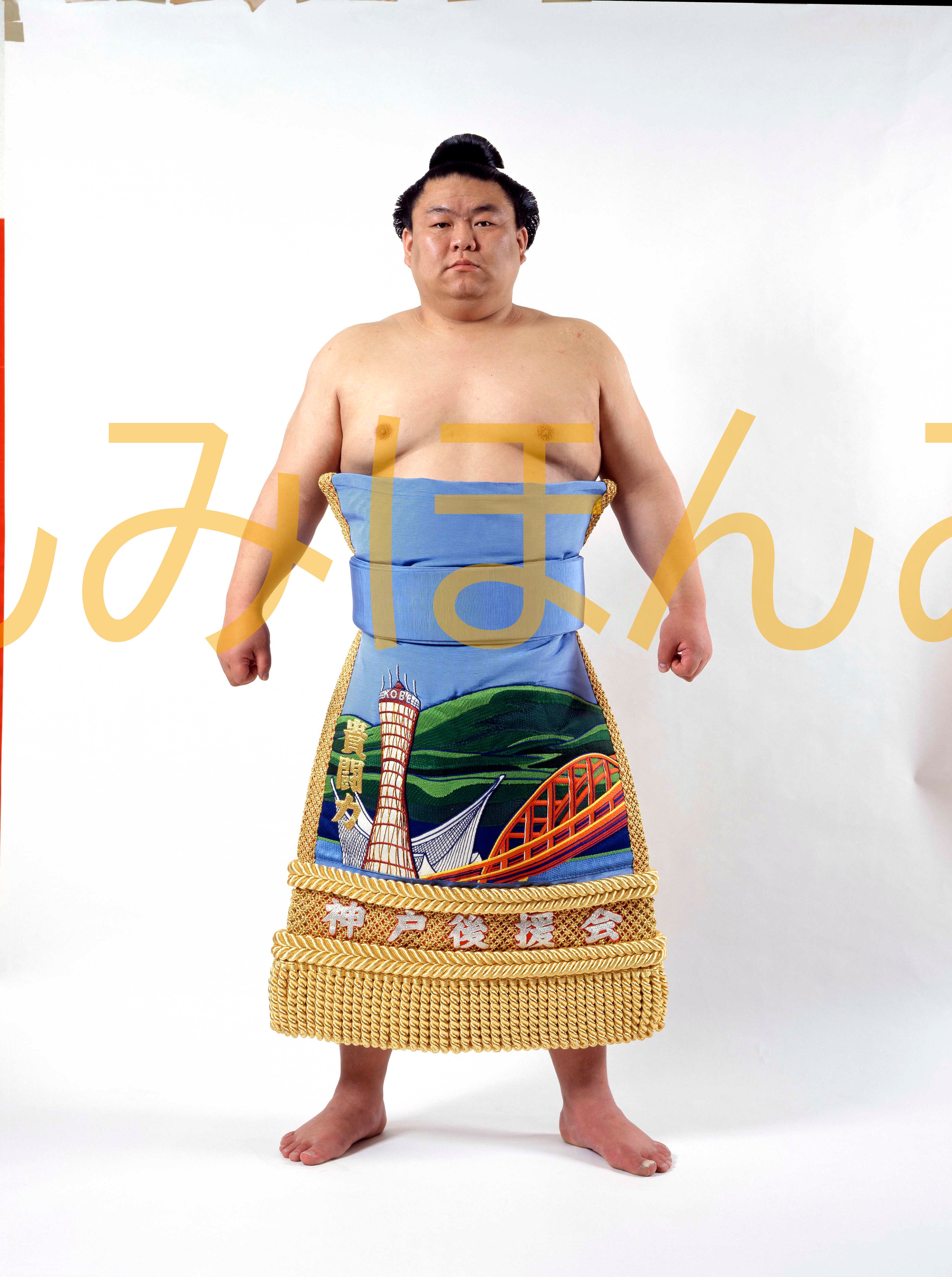 平成12年3月場所優勝 前頭 貴闘力忠茂関 | 大相撲まいにち部屋