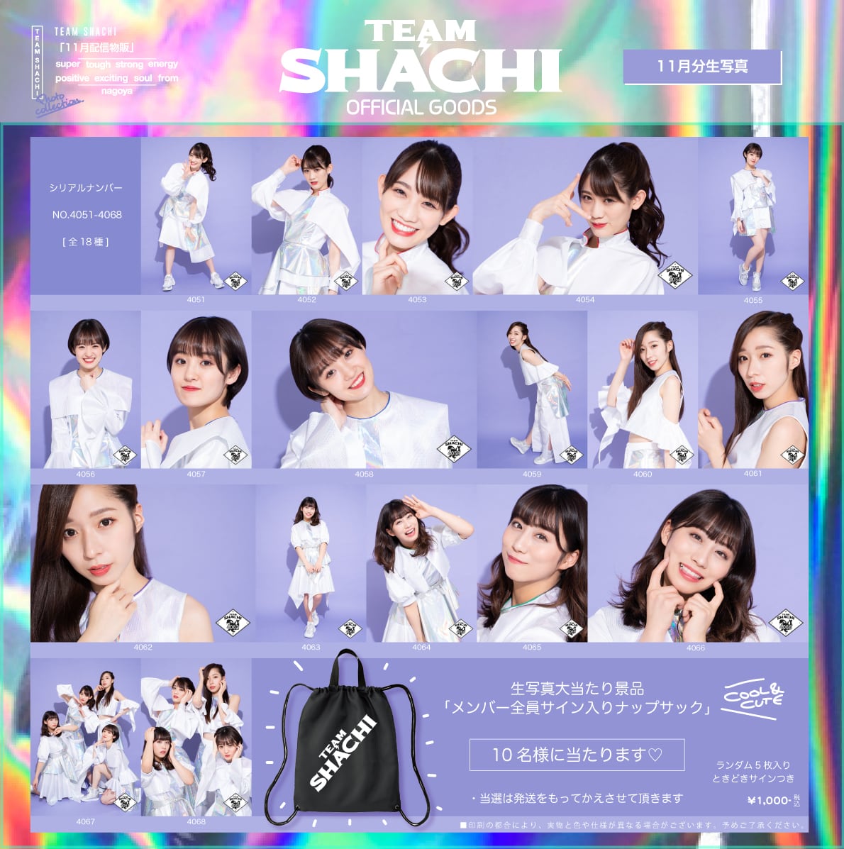 TEAM SHACHI 11月分生写真 | TEAM SHACHI SHOP