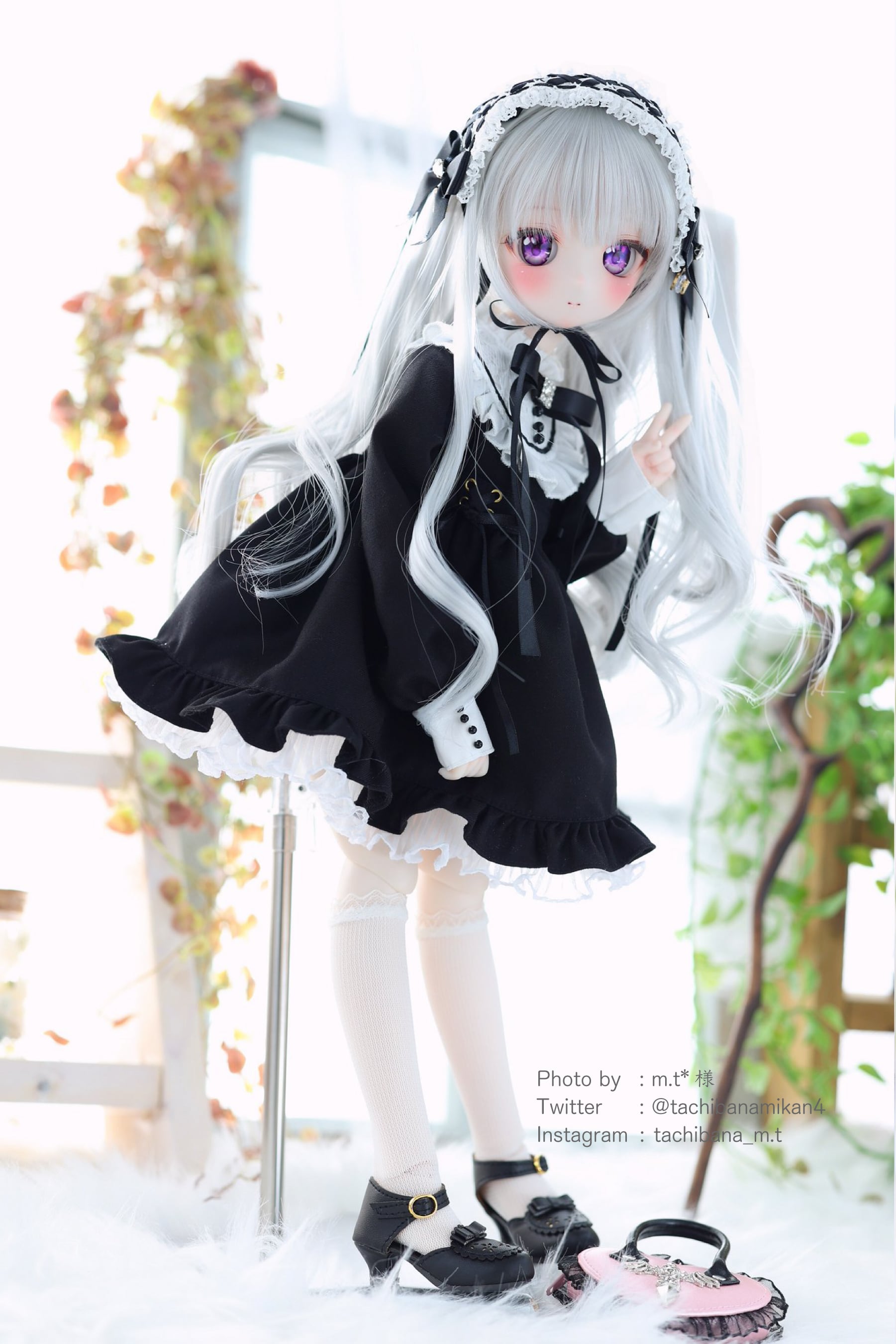 受注 Pre-order』MDD / DDP / KUMAKO / SDM / Imomodoll対応 OF 【地雷